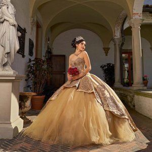 Ragazza Dress - Quinceañera, Wedding, Prom Dress!